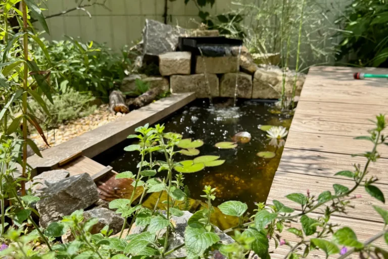 Ein Mini-Teich mit Teichsteg: So schaffst du ein kleines Paradies im Garten Mini-Teich mit Seerose und Ufervegetation