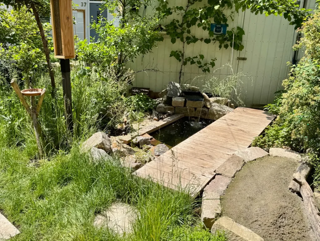 Mini-Teich im Garten mit einem Teichsteg.