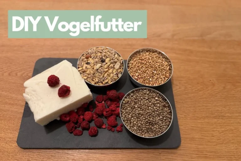 Übersicht von Zutaten für selbstgemachtes Winter-Vogelfutter