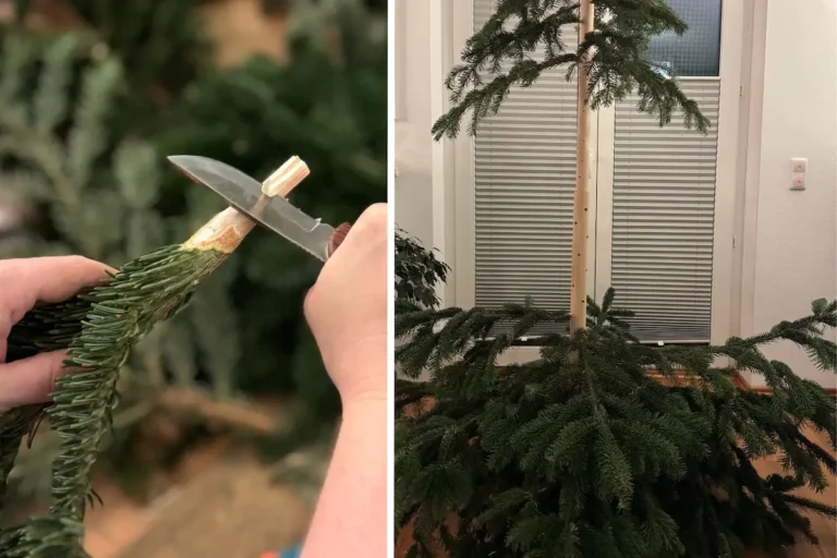 DIY-Weihnachtsbaum: So baust du deinen eigenen, nachhaltigen Baum aus Holz und Tannenzweigen DIY-Weihnachtsbaum-Vorschaubild