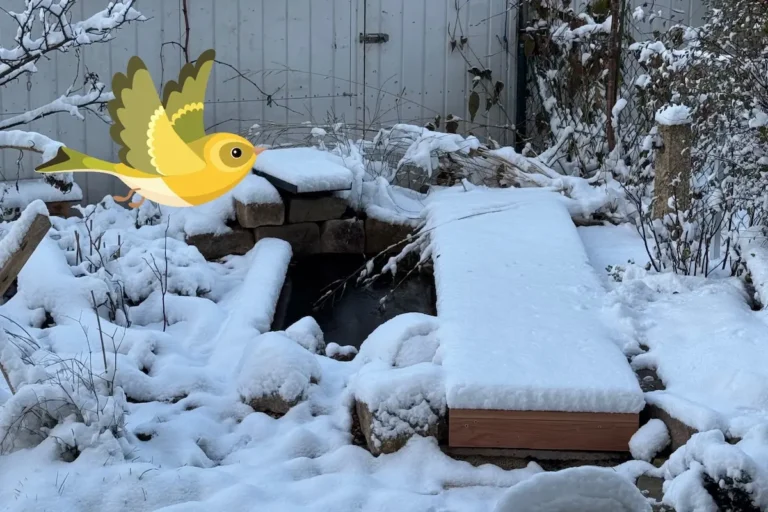 Sichere Wasserstellen für Vögel im Winter: So hilfst du ihnen durch die kalte Jahreszeit Garten mit Schnee bedeckt und Vogel-Illustration