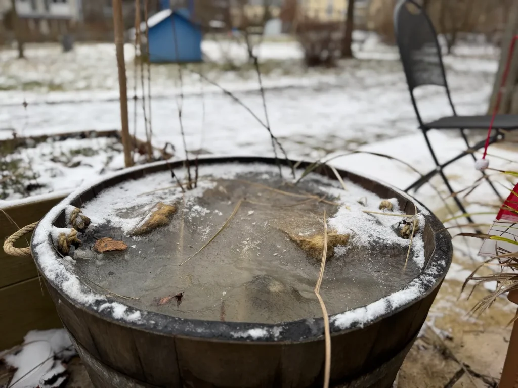 Zu­ge­fro­rener Minit-Teich im Weinfass im Winter mit dünner Eisschicht und Schnee.