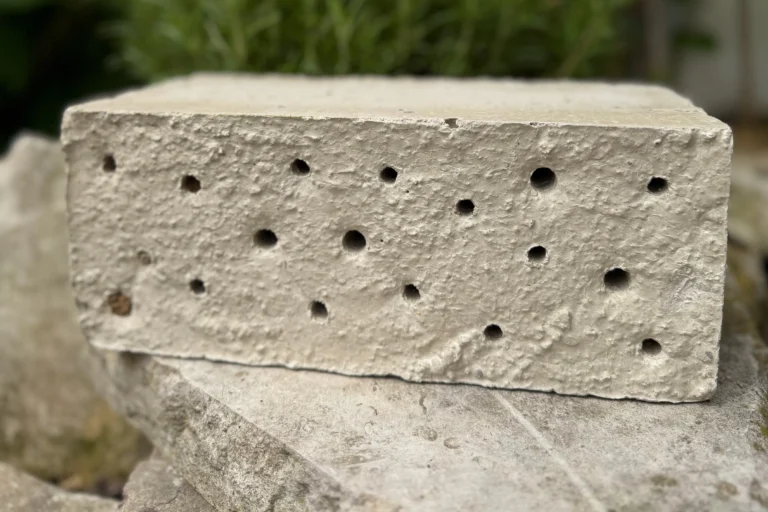 DIY - Niststein für Wildbienen aus Beton selber gießen Niststein aus Beton mit verschieden großen Löchern. Teilweise von Wildbienen besiedelt.