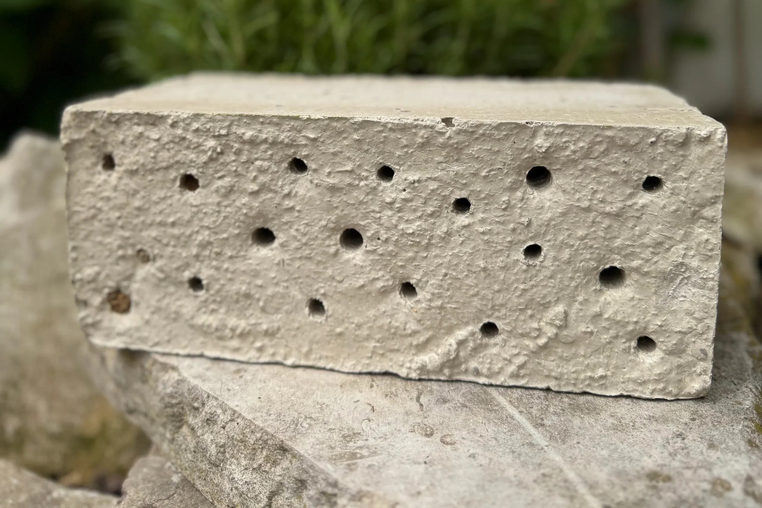DIY – Niststein für Wildbienen aus Beton selber gießen