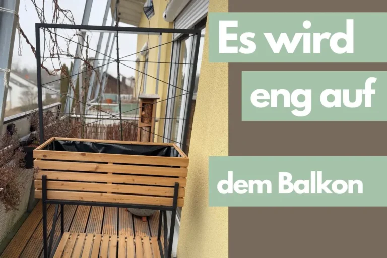 Test: Hochbeet Elin mit Anzuchtaufsatz von Tchibo – Unser neues Balkonprojekt Ein Hochbeet aus Holz und Stahl steht auf einem Balkon.