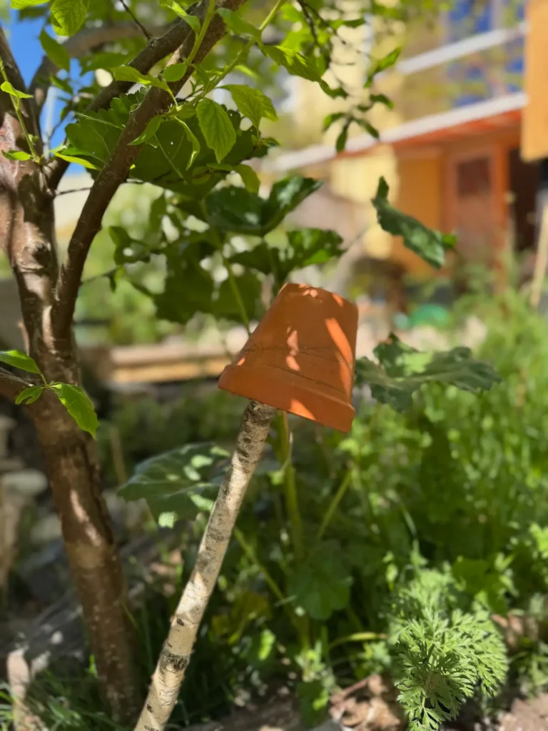 Ein Tontopf, der als Ohrwurmhotel dient, ist bodennah auf einem Ast im Garten befestigt.