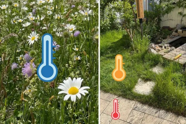 Deinen Garten klimafit machen – so geht’s! Gartenbilder mit Icons vom Thermometern, die anzeigen, welcher Bereich im Garten wie heiß wird.