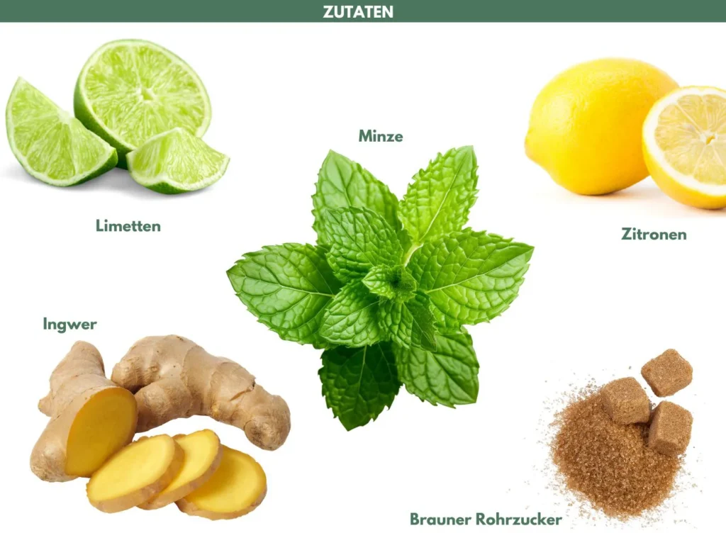 Moodboard mit verschiedenen Zutaten für Limonade.