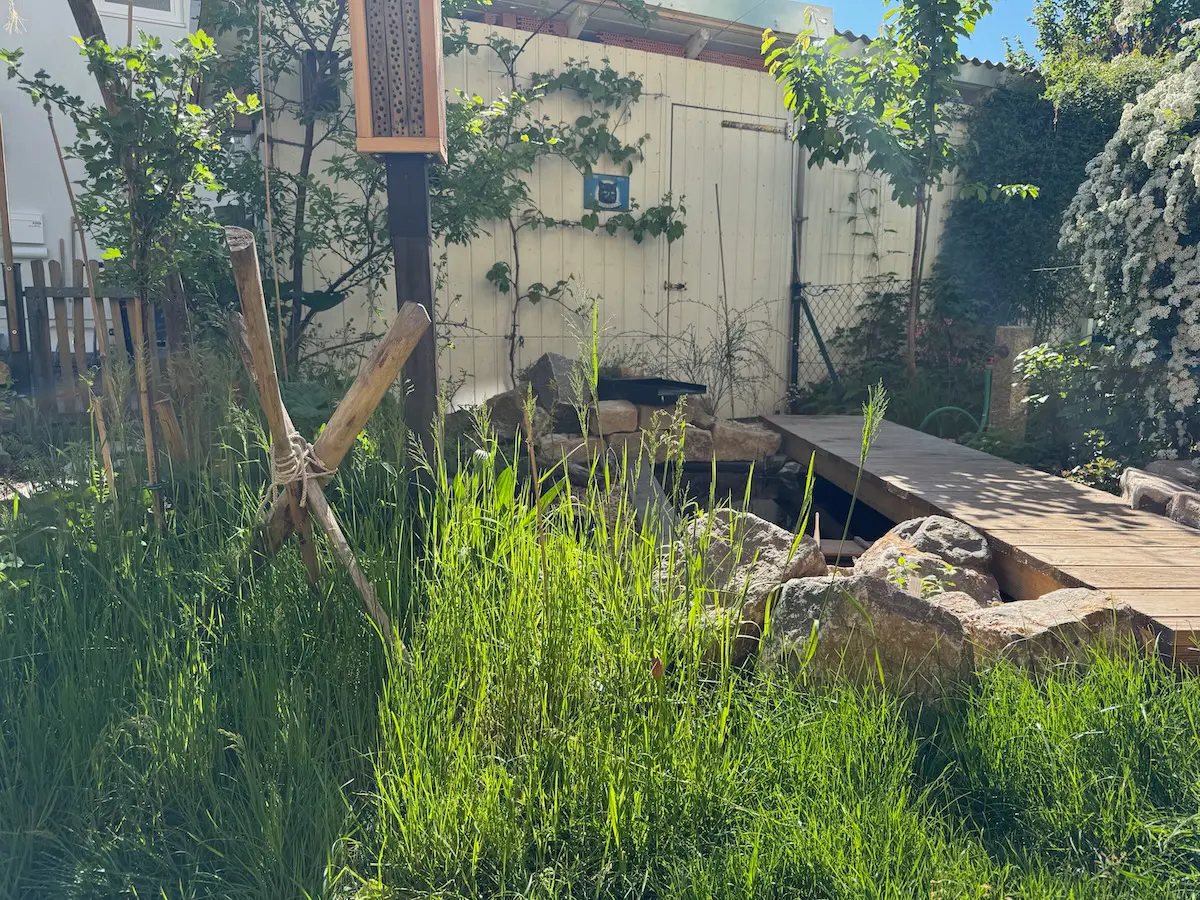 Bayern blüht – Naturgarten: So erhältst du die Zertifizierung für deinen Garten