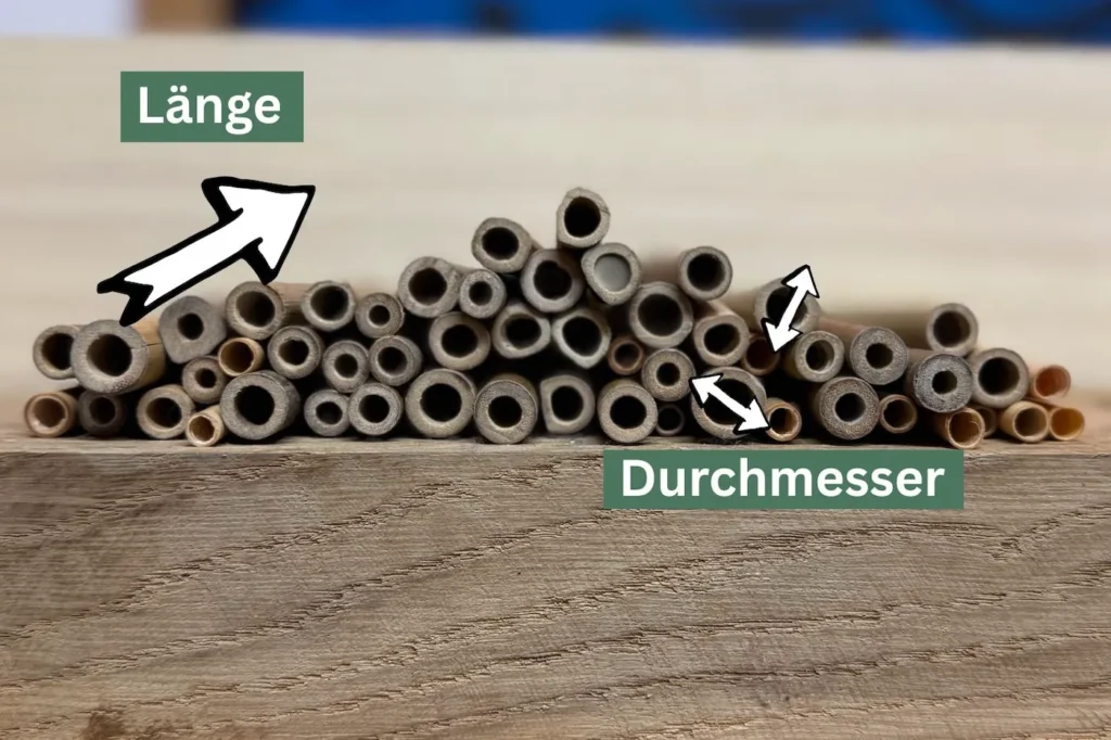 Viele Nisthülsen liegen auf einem Eichenbrett