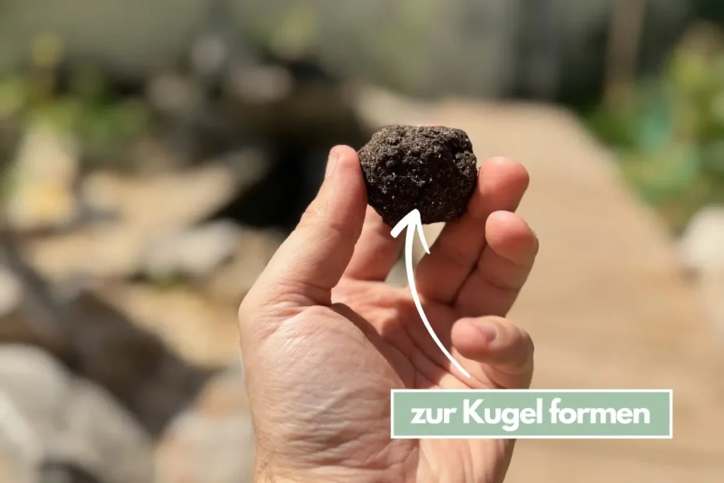 Ein Saatball wird von einer Hand zwischen zwei Fingern gehalten.
