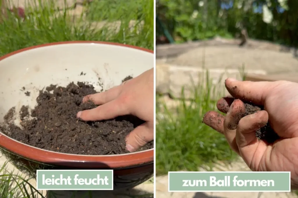 Schale mit Erde und Samen sowie eine Hand, die eine Kugel formt.