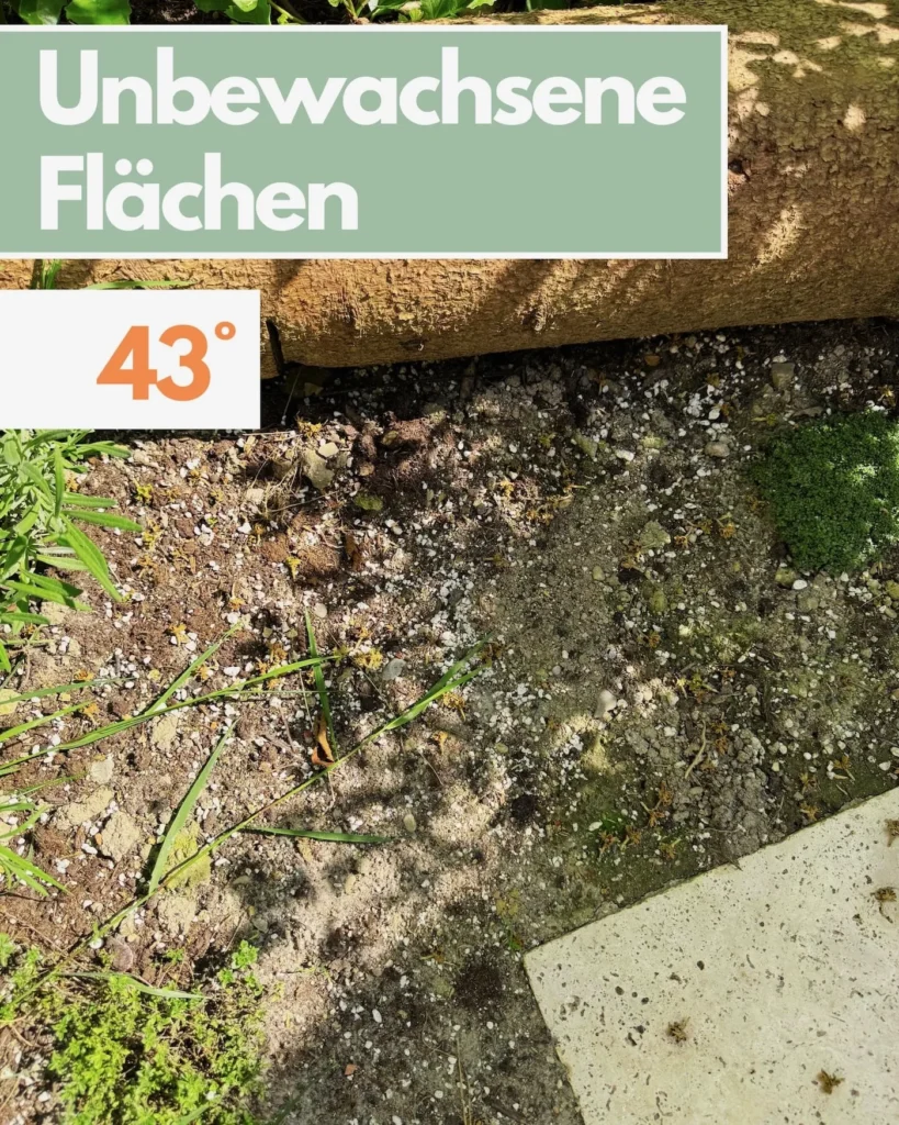 Erhitzter, unbedeckter Boden ohne Pflanzenbedeckung – Temperaturanzeige zeigt 43 Grad Celsius im Sommergarten