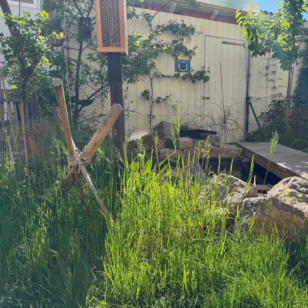 Wilder Naturgarten mit hohem Gras