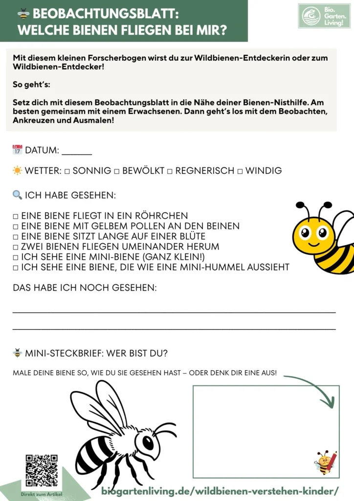 Beobachtungsblatt-Wildbienen für Kinder