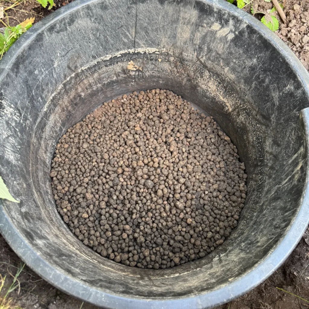 Eimer mit eingefüllter Drainageschicht aus Blähton zur Vorbereitung der Blaubeer-Pflanzung.