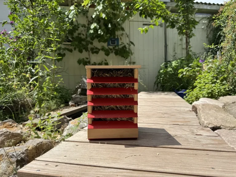 DIY-Anleitung: Florfliegenkasten bauen und Nützlinge fördern Ein Florfliegenkasten steht auf einem Holzsteg im Garten.
