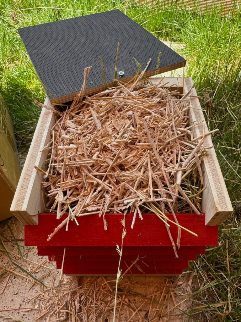 Ein Florfliegenkasten gefüllt mit Stroh und Holzspänen.