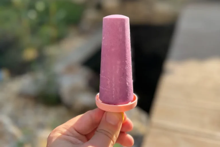 Frozen-Joghurt-Eis am Stiel mit Blaubeeren Frozen-Joghurt-Eis
