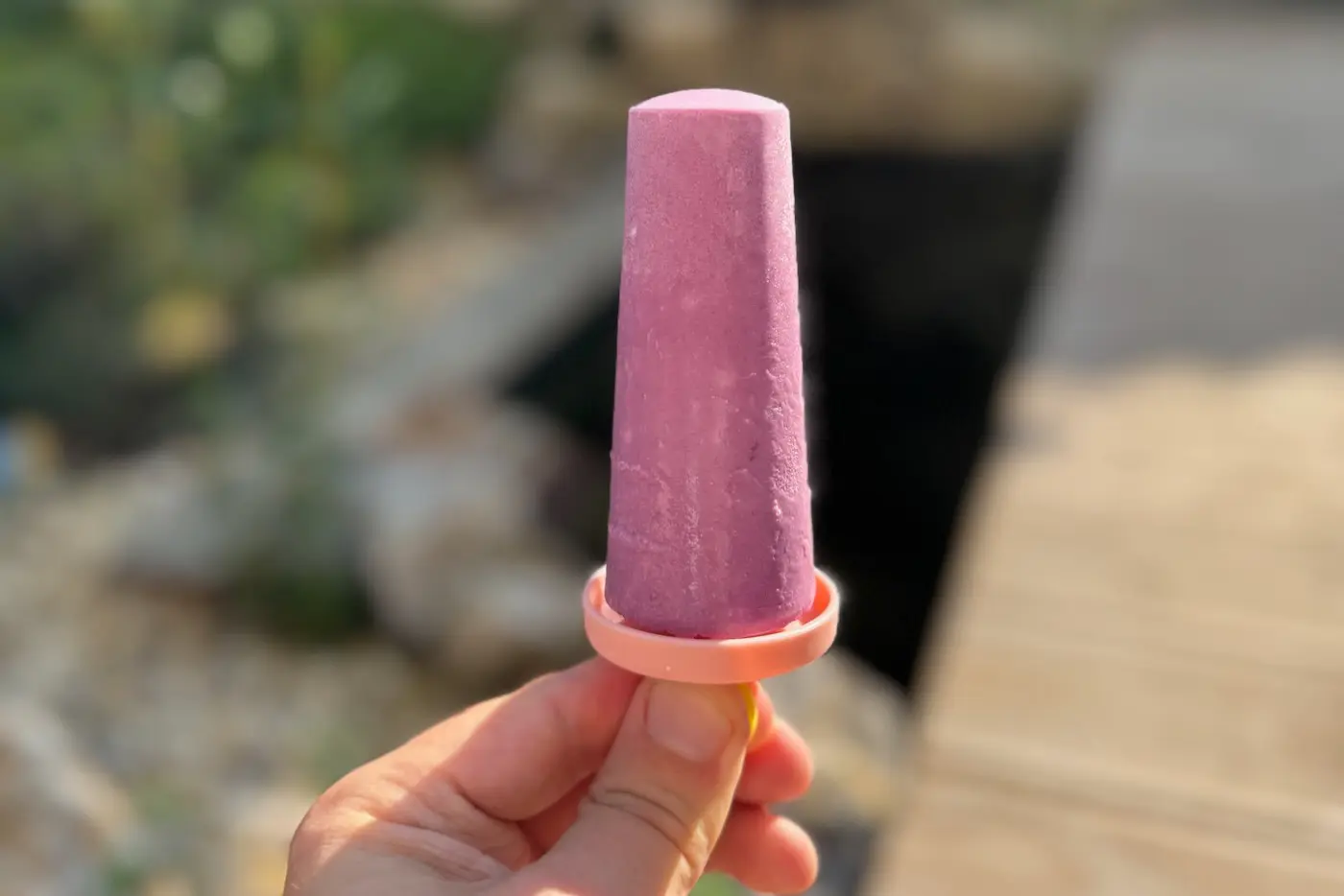 Frozen Joghurt Eis am Stiel mit Blaubeeren