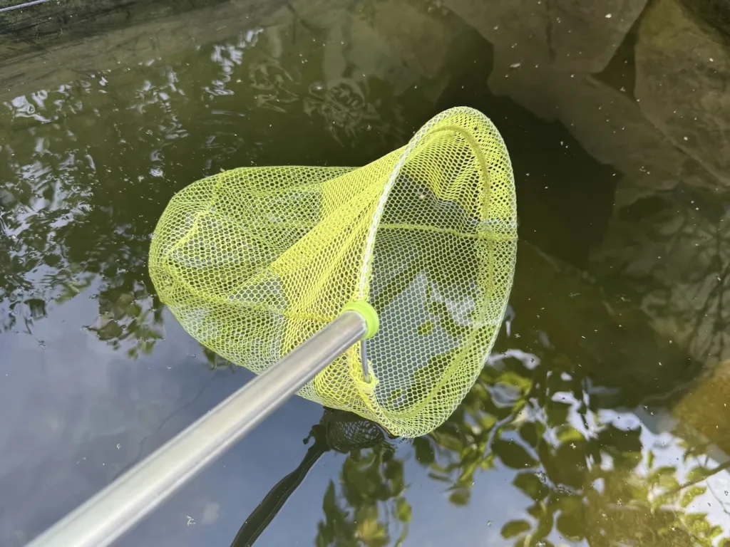 Kescher mit grünem Netz, der durch einen Teich geogen wird.