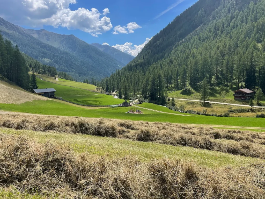 Eine Almwiese in den Dolomiten. Heu ist zum Trocknen aufgehäuft.