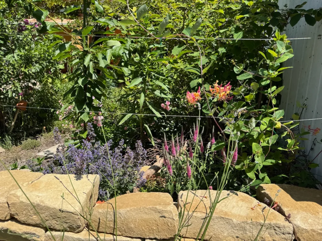 Natursteinmauer mit blühenden Stauden