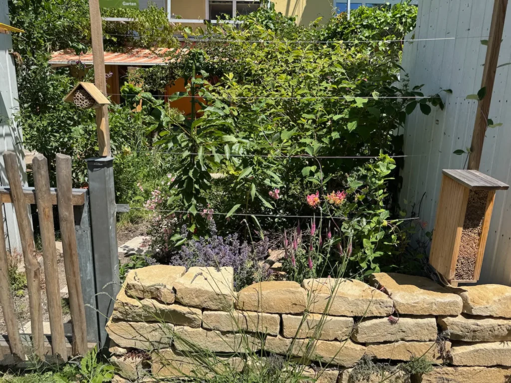 Natursteinmauer mit blühenden Stauden