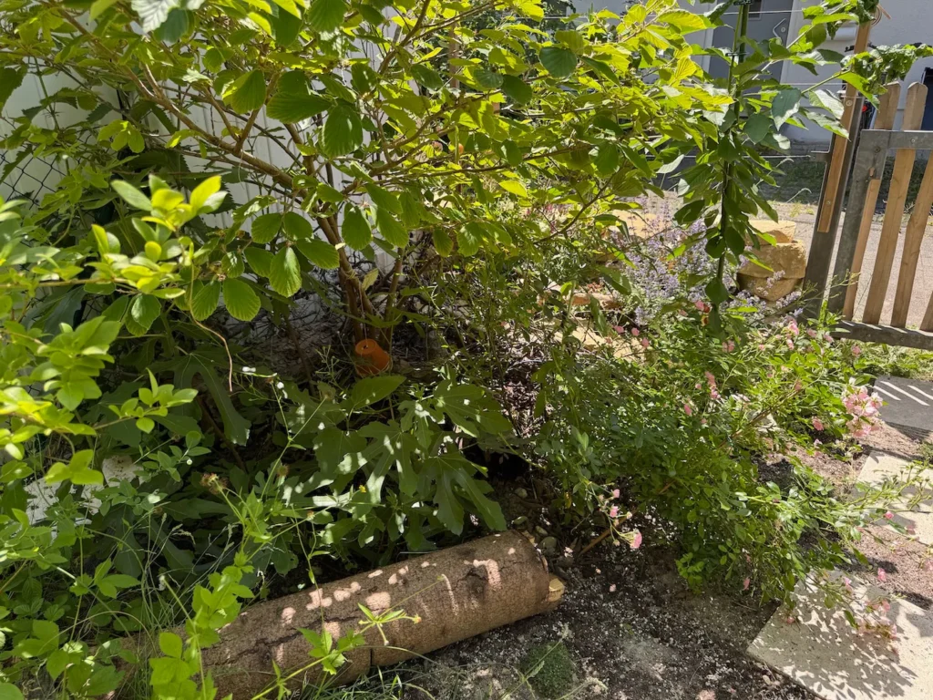 Wilde Ecke mit Totholz und Bepflanzung in einem Naturgarten.