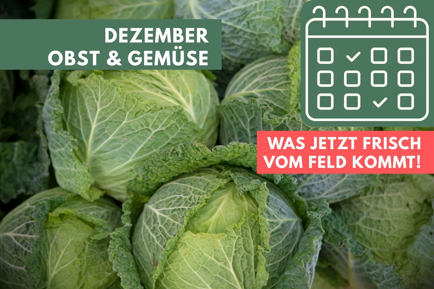 Obst und Gemüse im Dezember: Was jetzt frisch vom Feld kommt