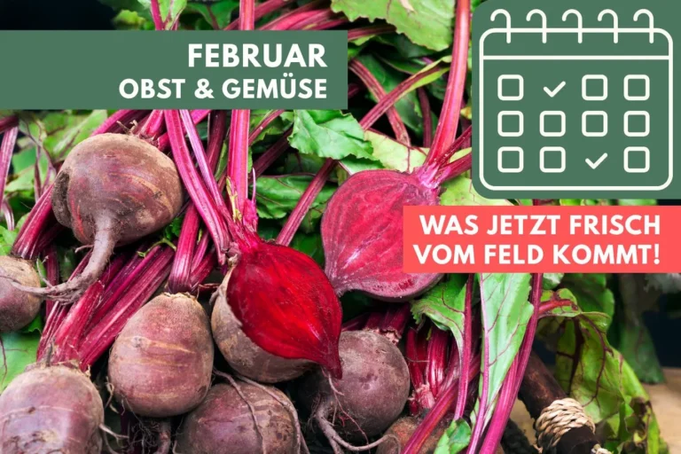 Obst und Gemüse im Februar: Was jetzt frisch vom Feld kommt Rote Beete
