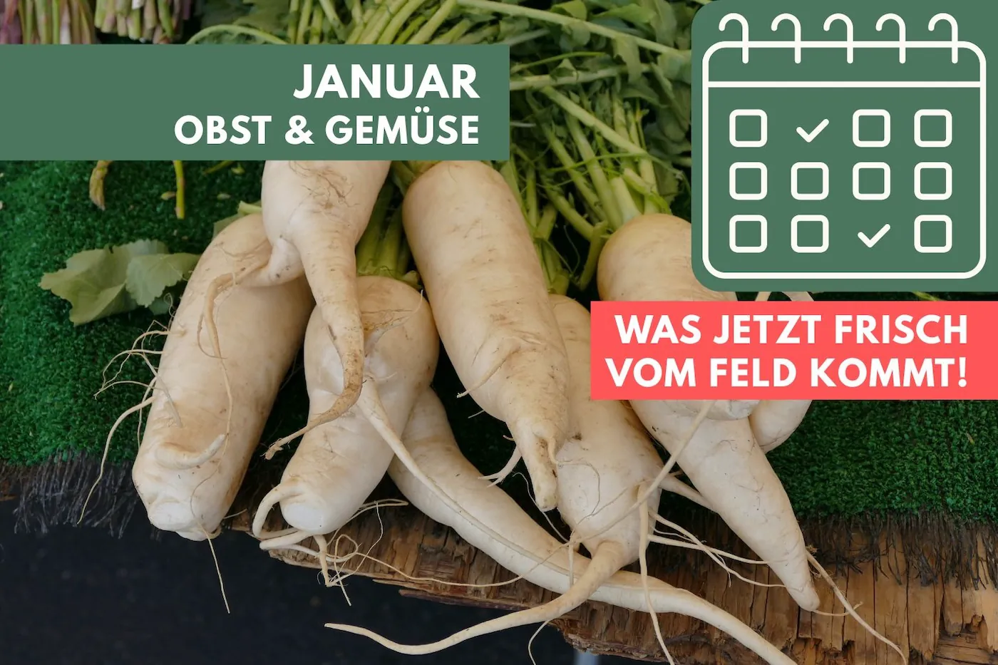 Obst und Gemüse im Januar: Was jetzt frisch vom Feld kommt