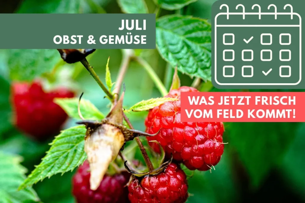 Himbeeren am Strauch