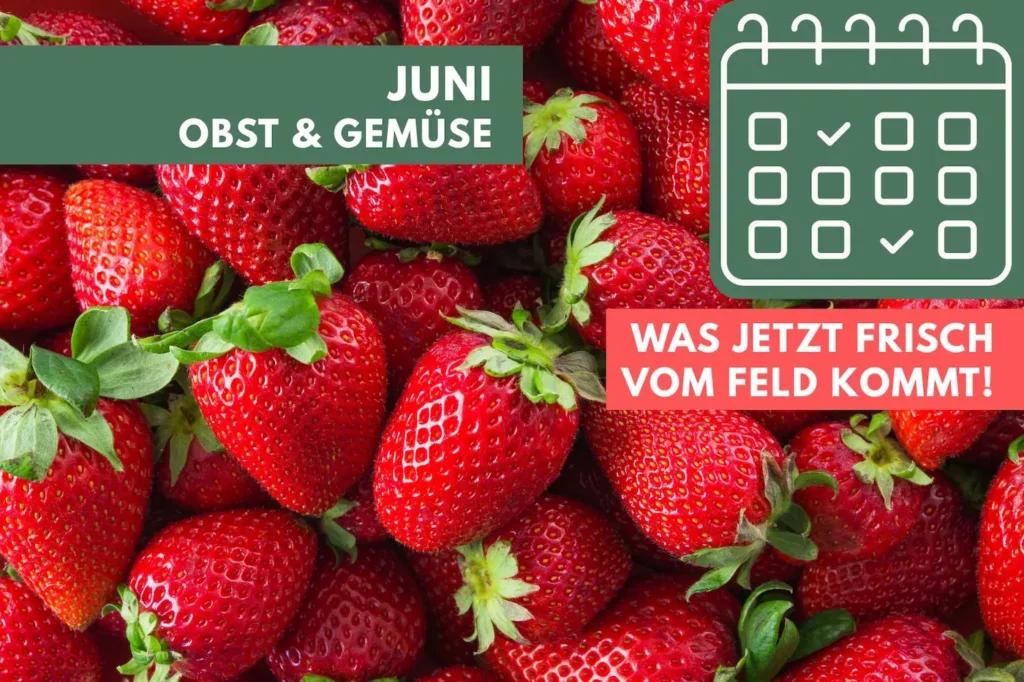 Erdbeeren