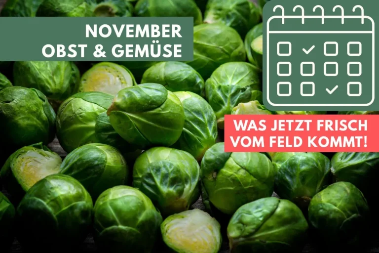 Obst und Gemüse im November: Was jetzt frisch vom Feld kommt Rosenkohl