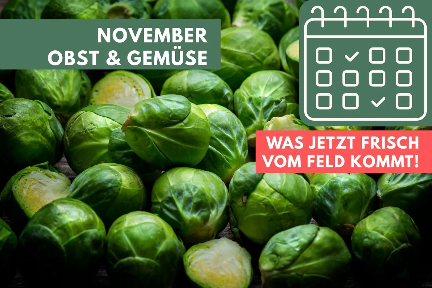 Obst und Gemüse im November: Was jetzt frisch vom Feld kommt
