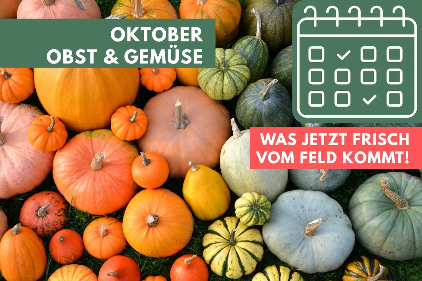 Obst und Gemüse im Oktober: Was jetzt frisch vom Feld kommt