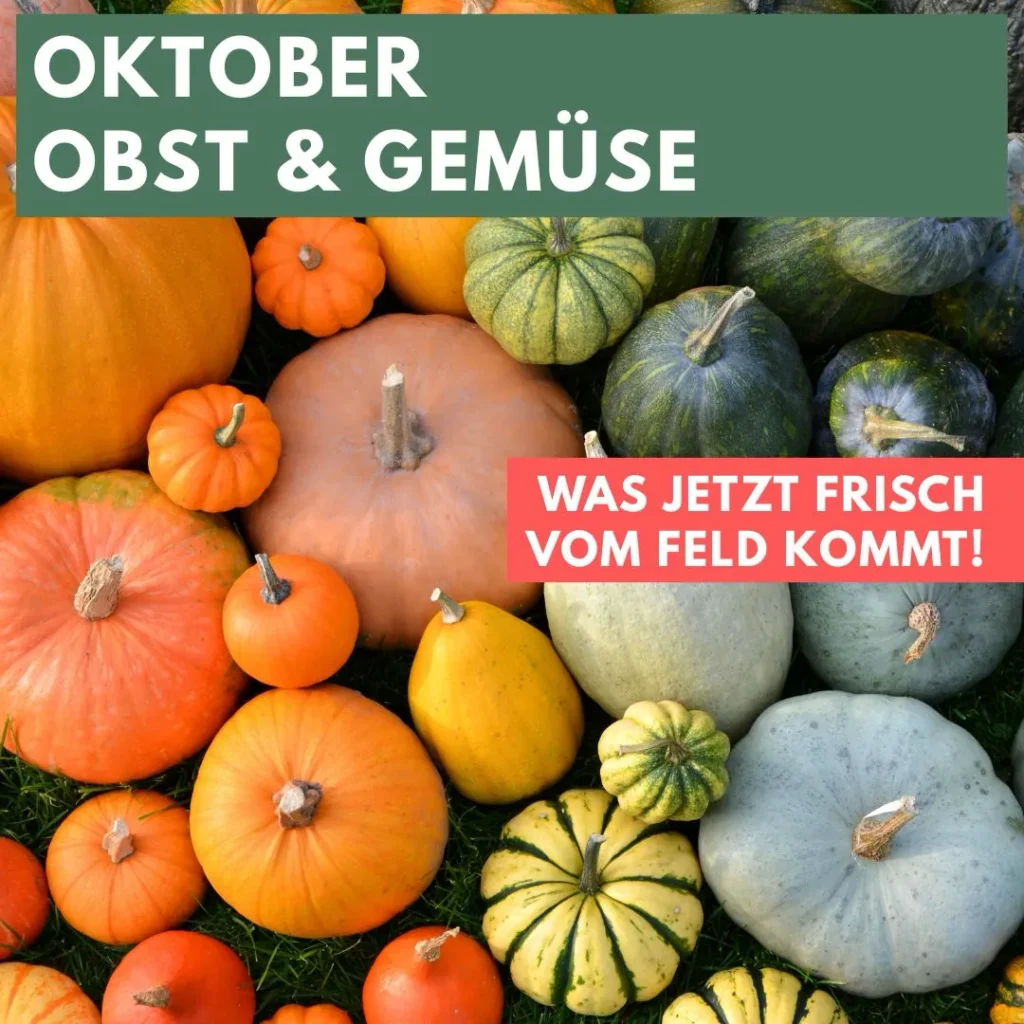 Verschieden große Kürbisse in mehreren Farben.