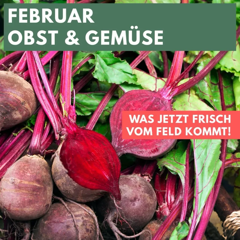 Rote Beete
