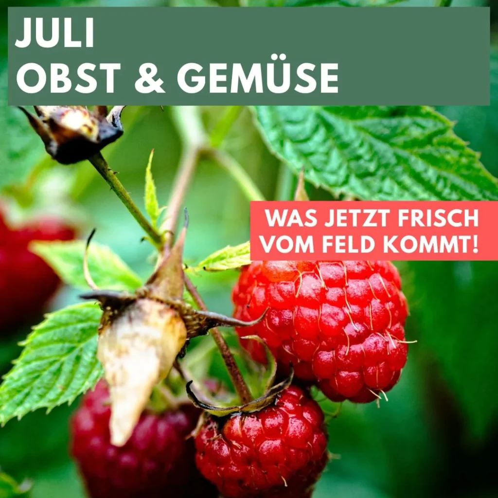 Himbeeren an einem Strauch