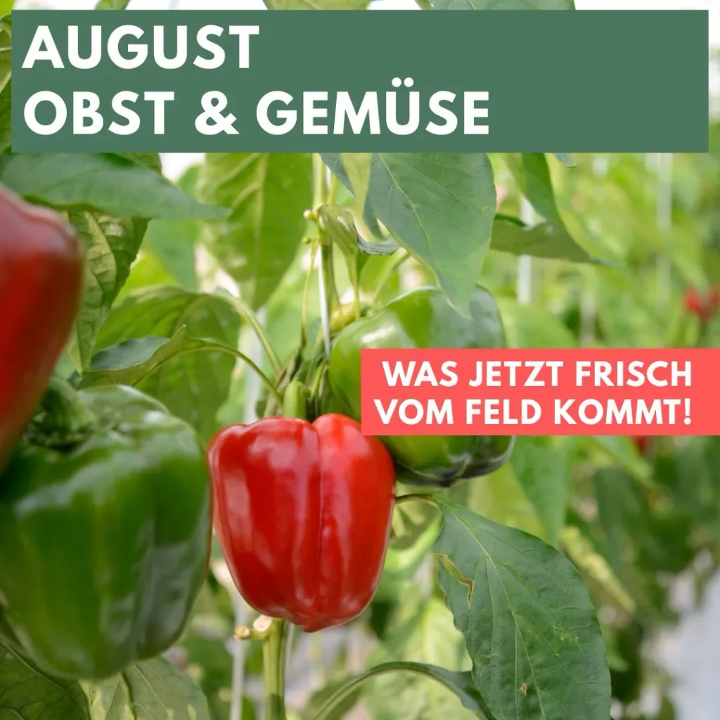 Rote und grüne Paprika