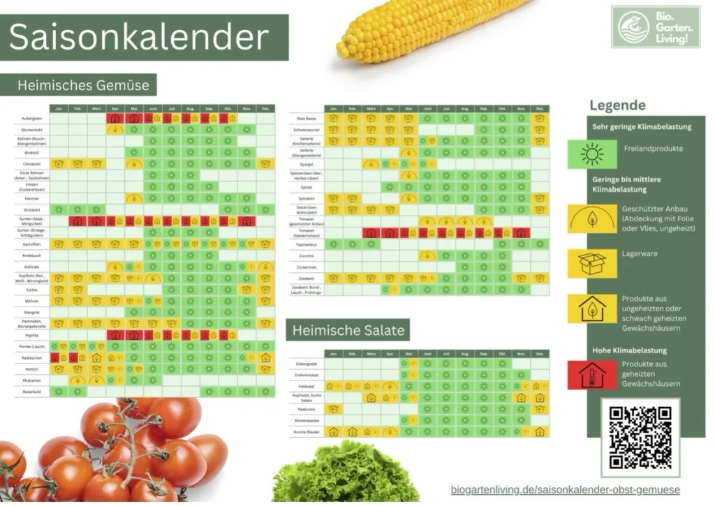 Saisonkalender für regionales Gemüse und Obst.