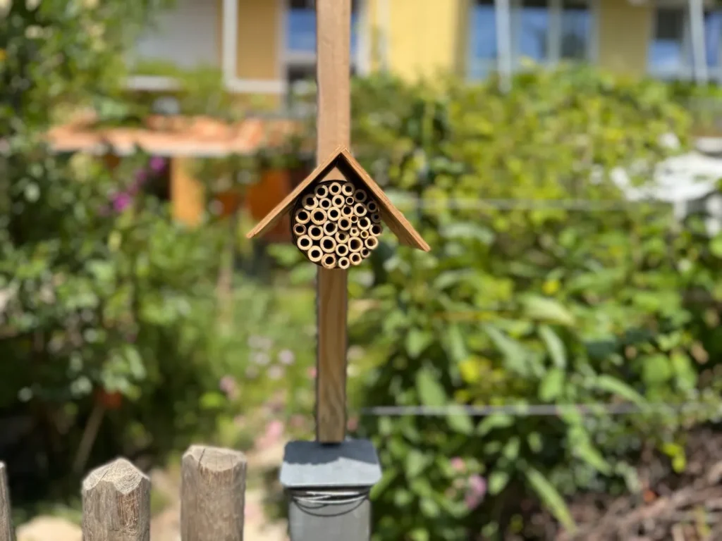 Nisthilfe aus einer Blechdose an einem Holzspalier befestigt.