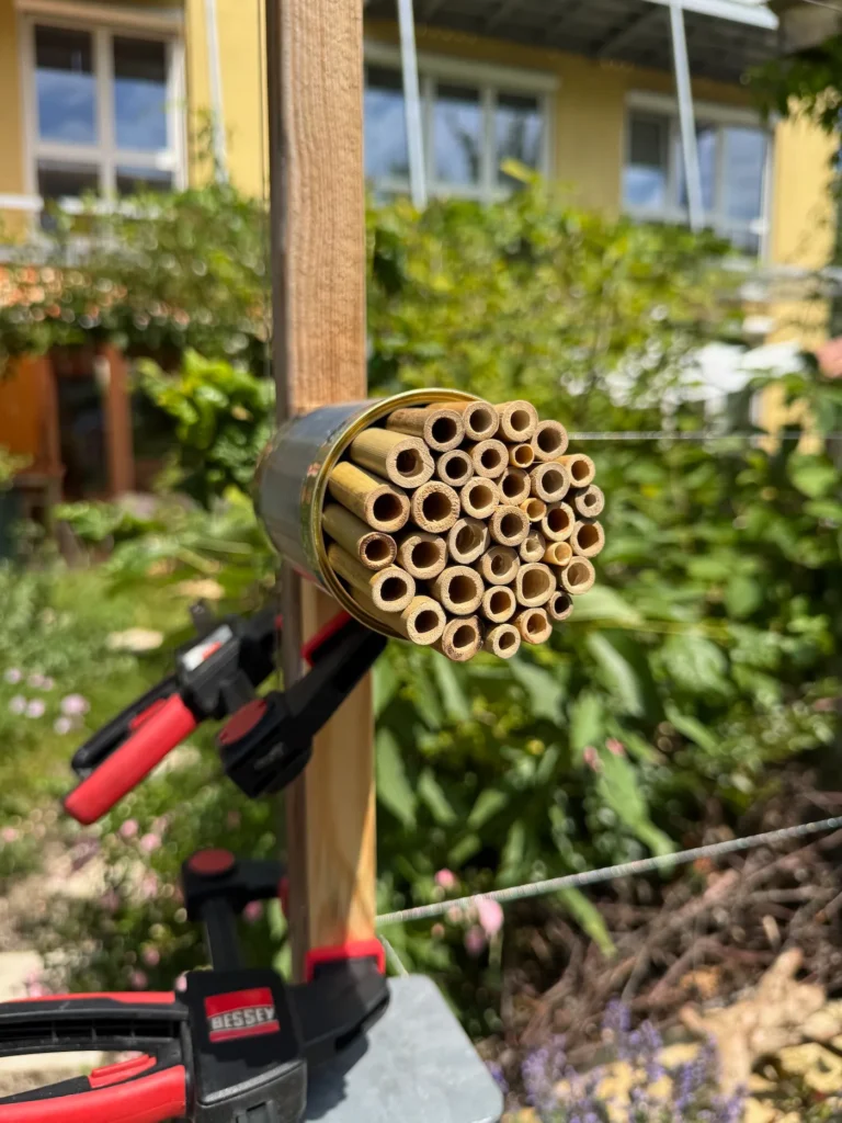 Nisthilfe aus einer Blechdose an einem Holzspalier befestigt.