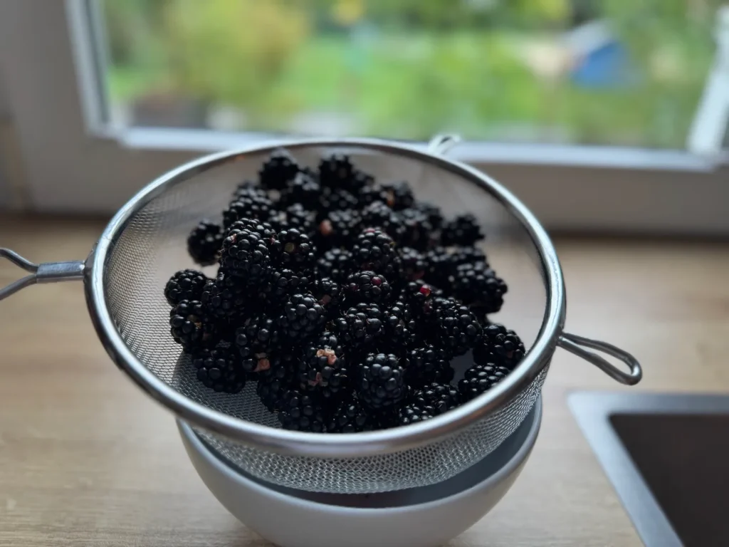 Gewaschene Brombeeren in einem Sieb zum Abtropfen.