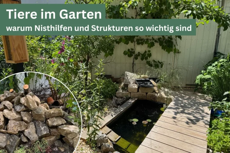 Garten mit kleinem Teich