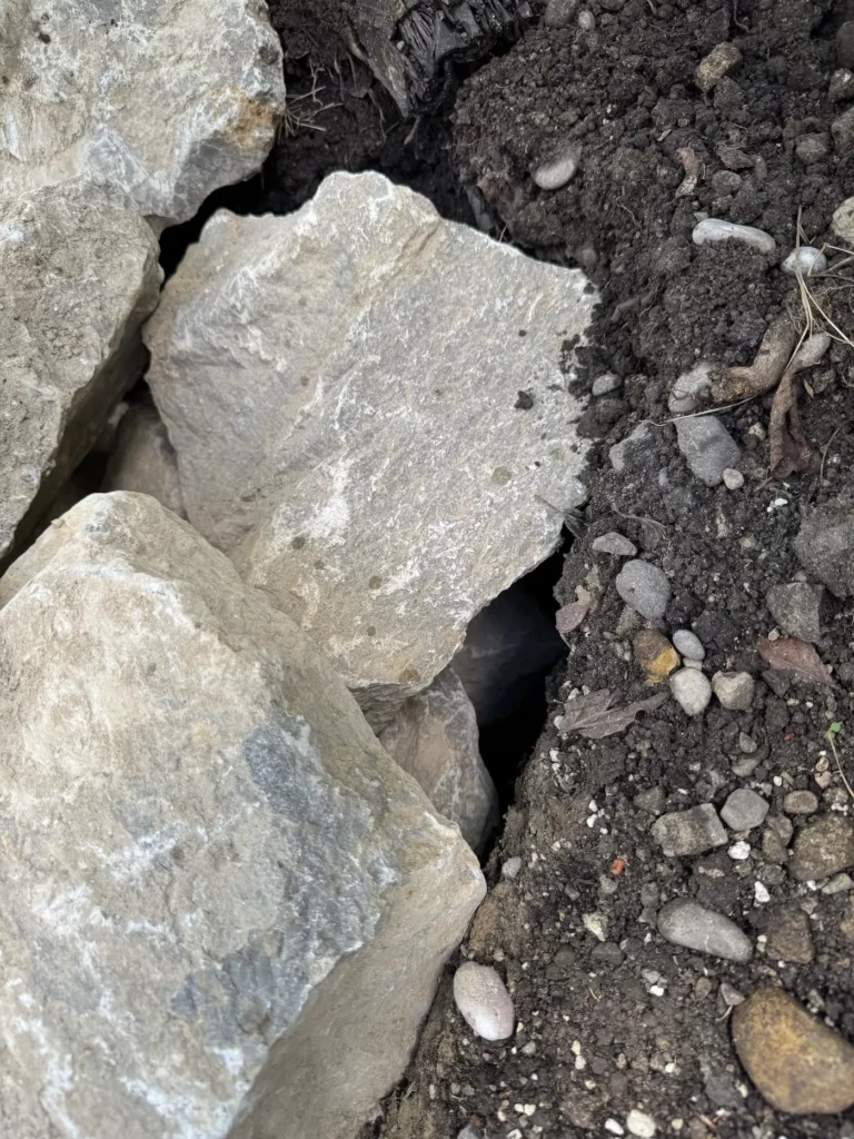 Eingang auf der schattigen Nordseite der Amphibienburg mit Rückzugsmöglichkeit für Tiere.