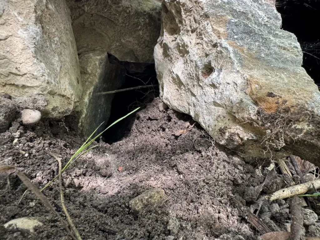 Eingang der Amphibienburg mit Sandfläche als Zugang für Tiere.