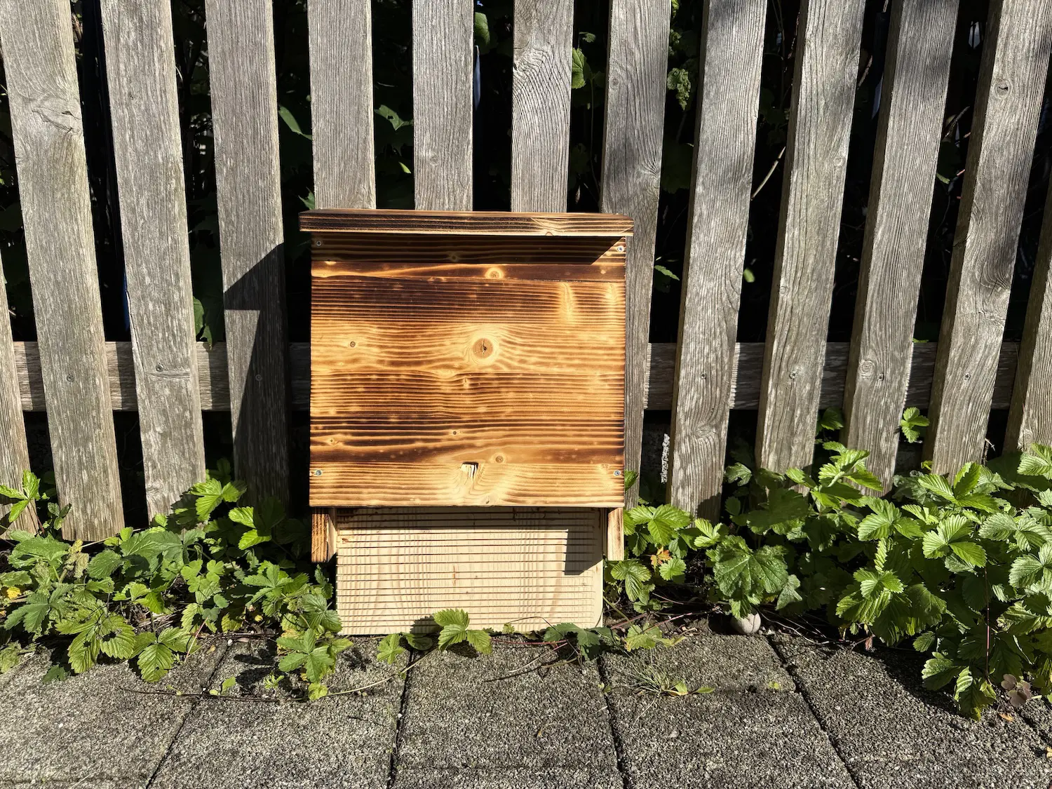 Fledermauskasten aus Holz selbst bauen 🦇