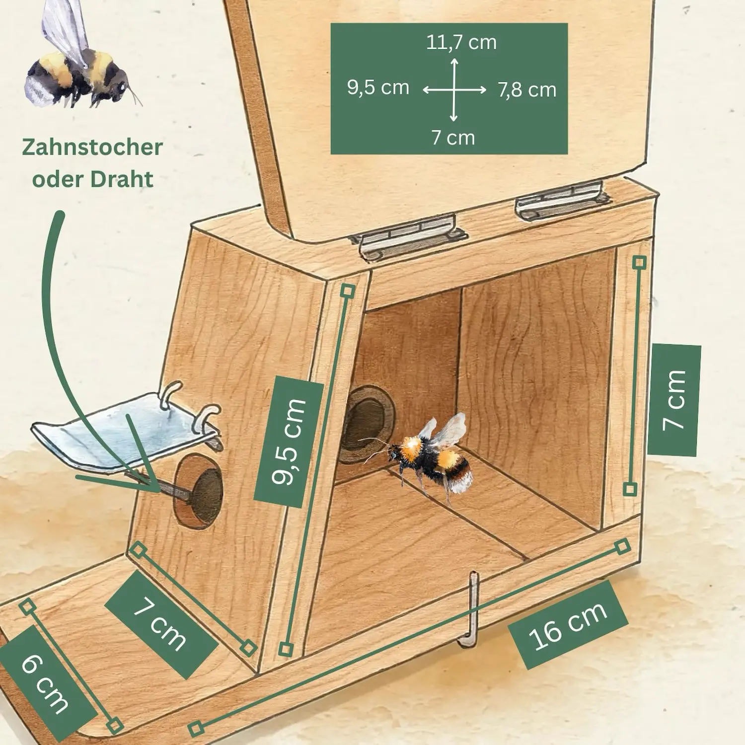 Skizze eines Hummelkastenvorbaus aus Holz mit Wachsmottenklappe.